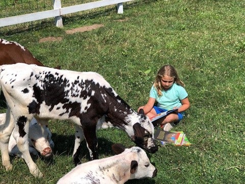 Children's Grief Camp where children interact with farm animals